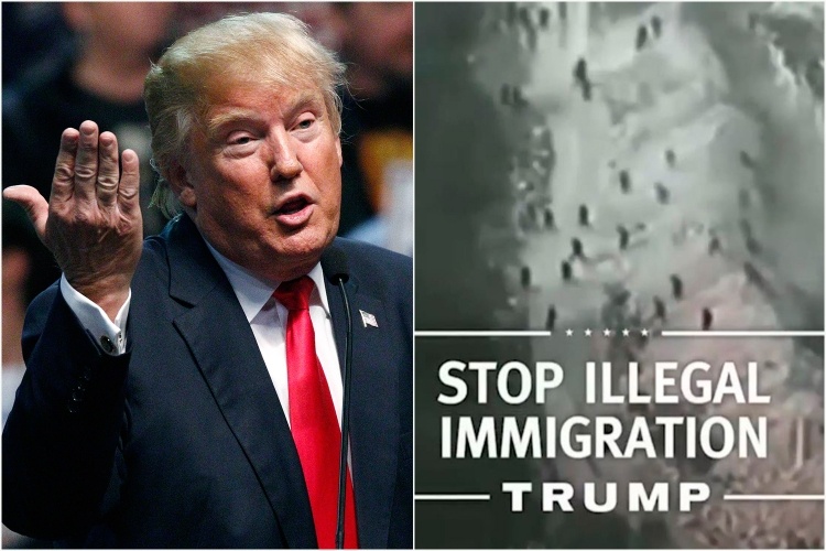 特朗普当选美国总统，非法移民何去何从